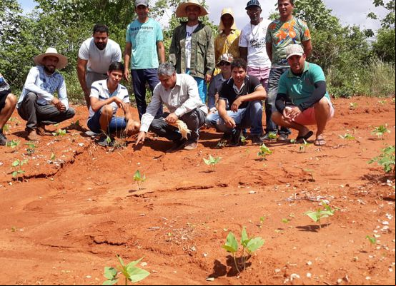 Assistência técnica voltada para Agroecologia promove agricultura familiar sustentável no Território Irecê