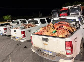 Fiscalização apreende quatro toneladas de produtos ilegais de origem animal