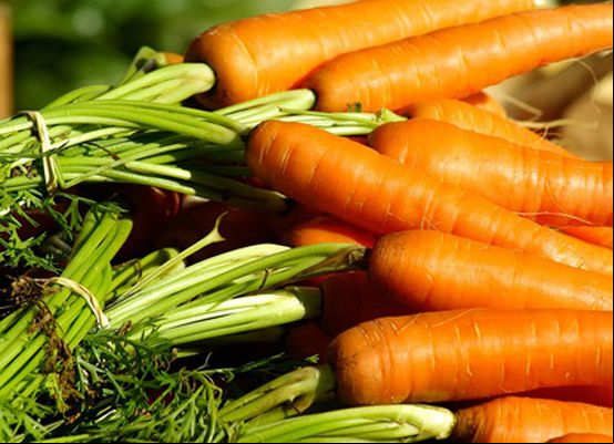 Mercado de cenoura em Irecê registra queda de 34% em uma semana