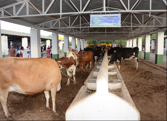 Parque de Exposições de Irecê preparado para a 24ª Expoagri